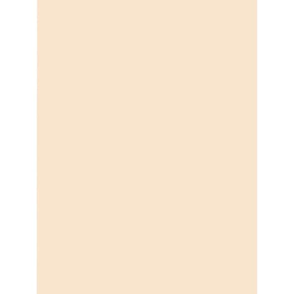 Pacon Tagboard, Hw, 18X24, Mla, 100Sh Pk PAC5120 - main